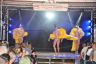 DSC_0123.jpg