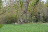 DSC_5199.jpg
