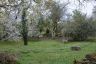 DSC_5211.jpg