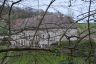 DSC_5226.jpg